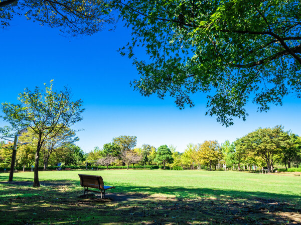 『屋外での楽しみ方に関するアンケート調査』