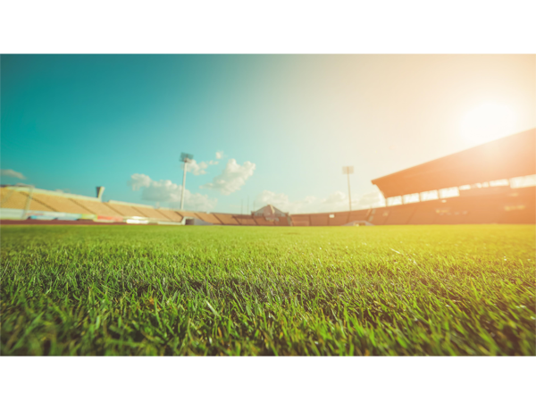 『野球vsサッカーに関するアンケート調査』野球とサッカーどっちが好き？「野球派」は5割、「サッカー派」は3割、「両方派」は2割