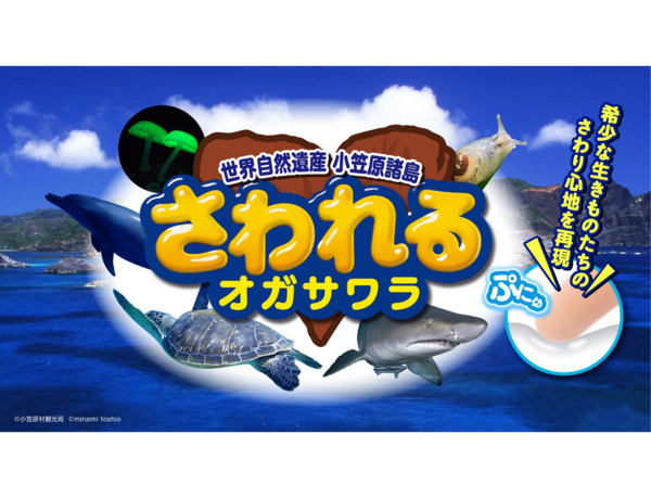 CCCMKホールディングス×小笠原村観光局 共育プロジェクト「おがさわラボ」で商品開発！小笠原の生きものを